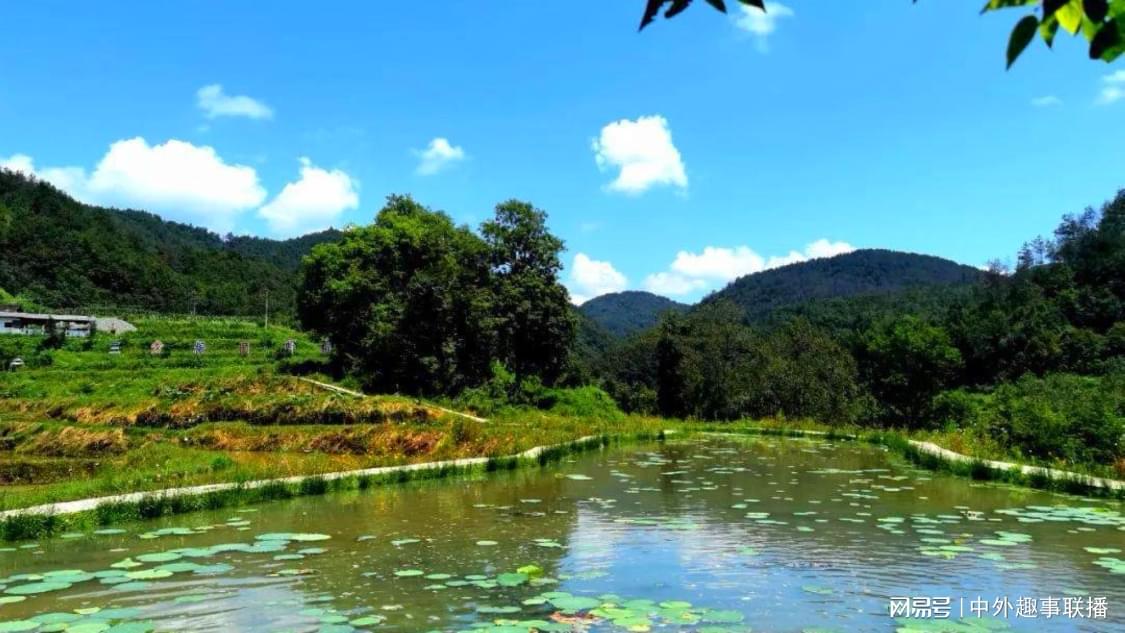 抖音双击自助下单文案：自助下单新趋势引发网购热潮