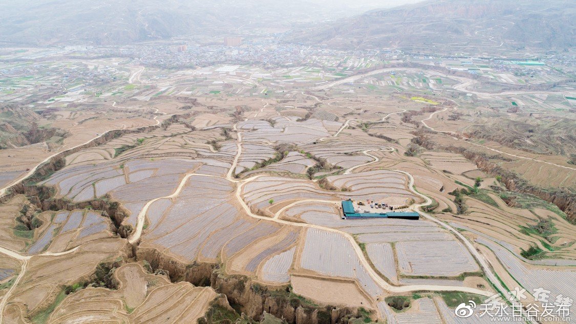 广州长隆野生动物世界年内喜添四只考拉宝宝_ks50个双击